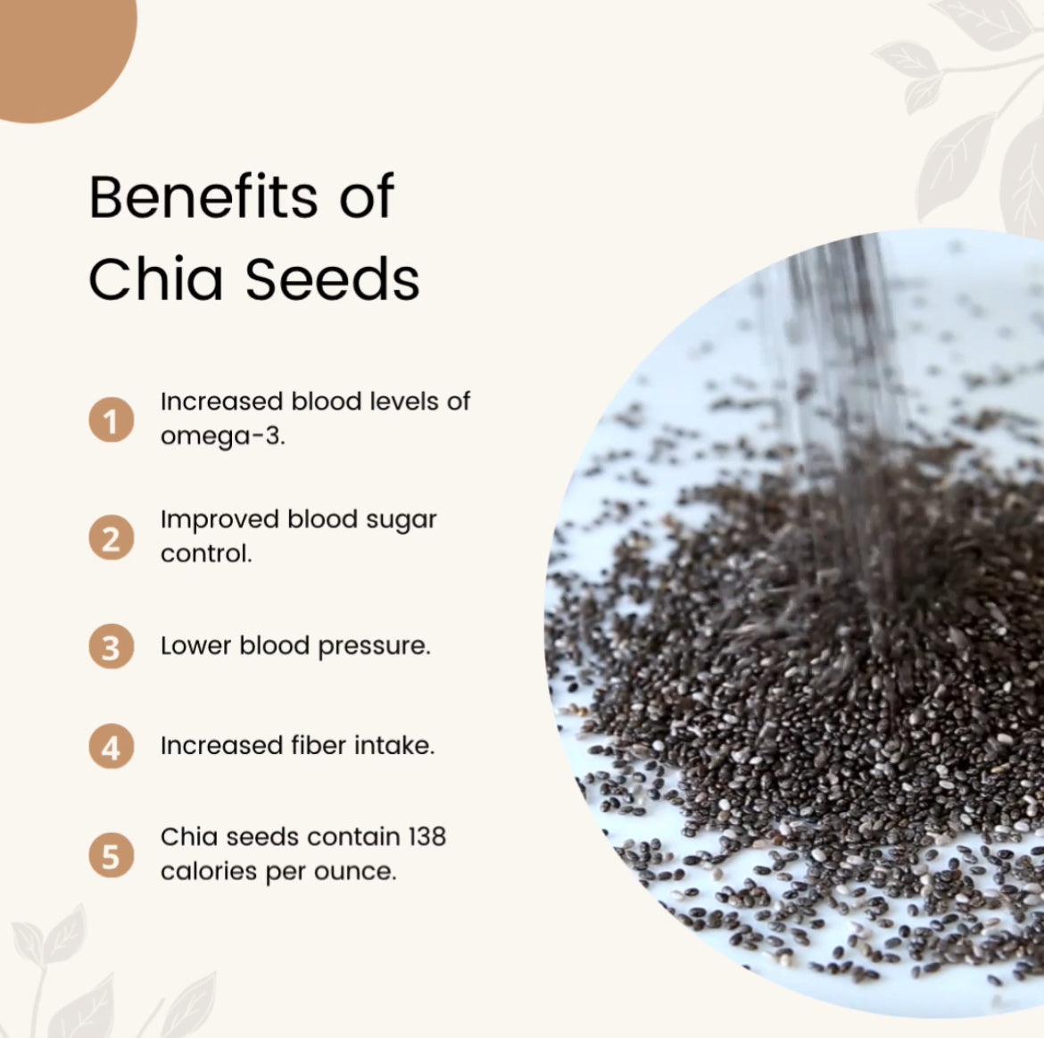 Chia Seed - MIZN